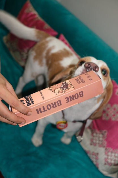Bone Broth Pupsicle
