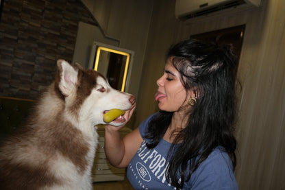 Pumpkin Love Pupsicle