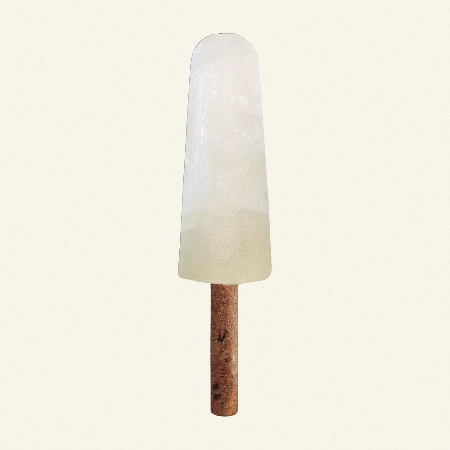 Bone Broth Pupsicle