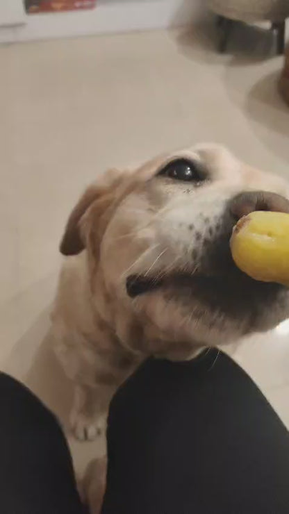 Pumpkin Love Pupsicle