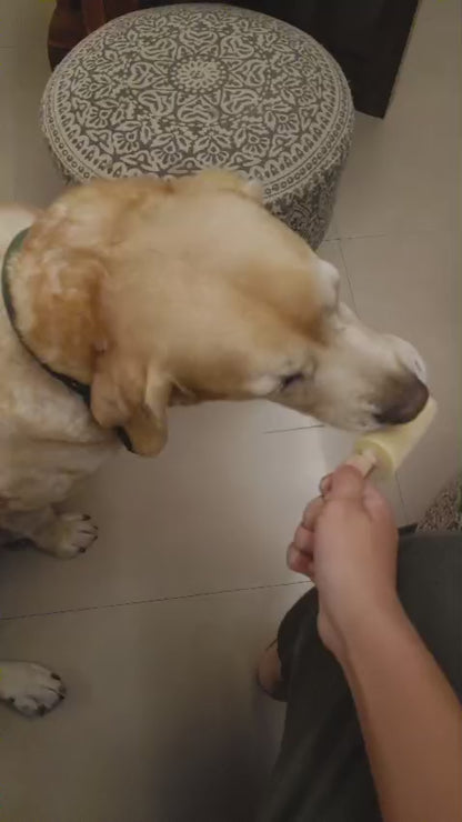 Chicken Delight Pupsicle
