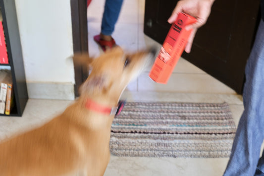 The Woofies Pack